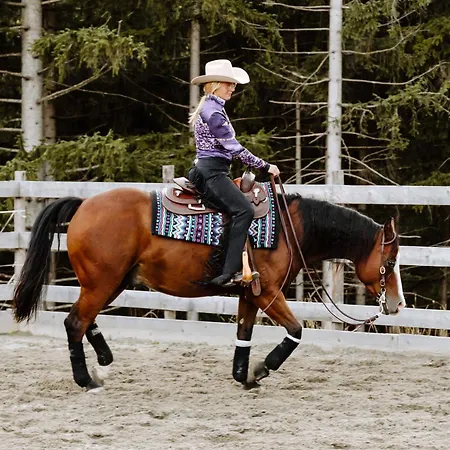 Bergmahd Ξενοδοχείο 3*