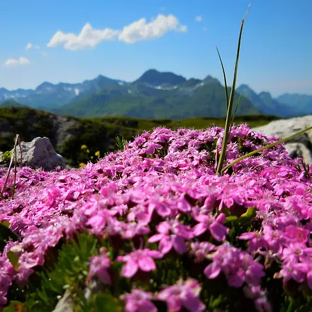 Bergmahd
