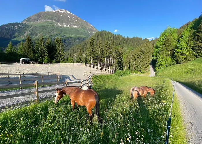Bergmahd Ξενοδοχείο Steeg