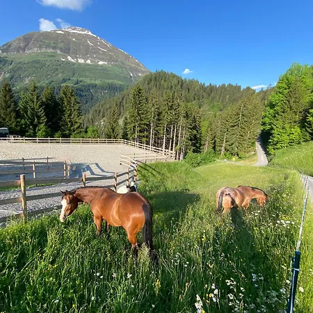 Bergmahd Отель Штег